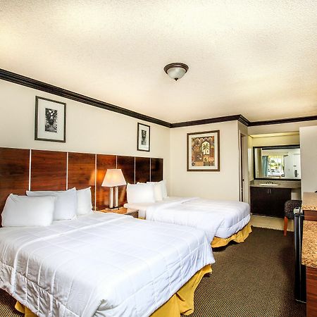 Budget Host Inn Florida City Ngoại thất bức ảnh